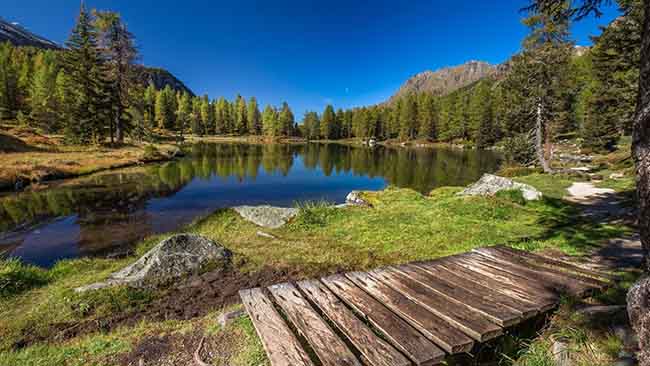 Landschaft im Bayerischen Wald für das sonnenklar.TV Roulette-Angebot