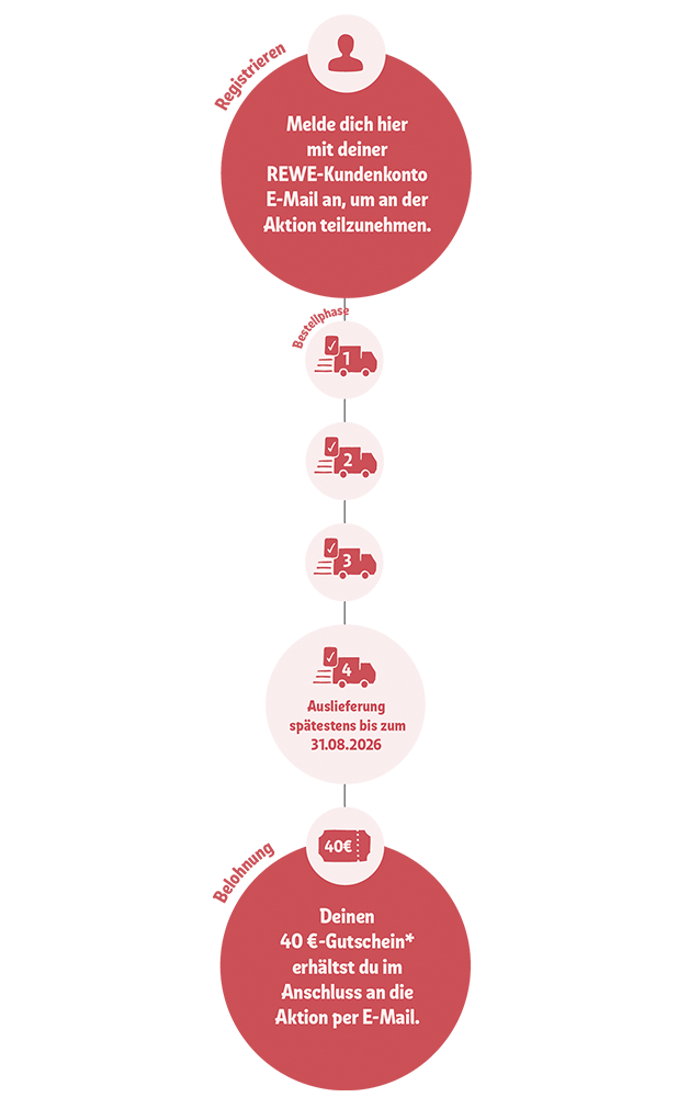 REWE Sommer-Sparaktion Infografik