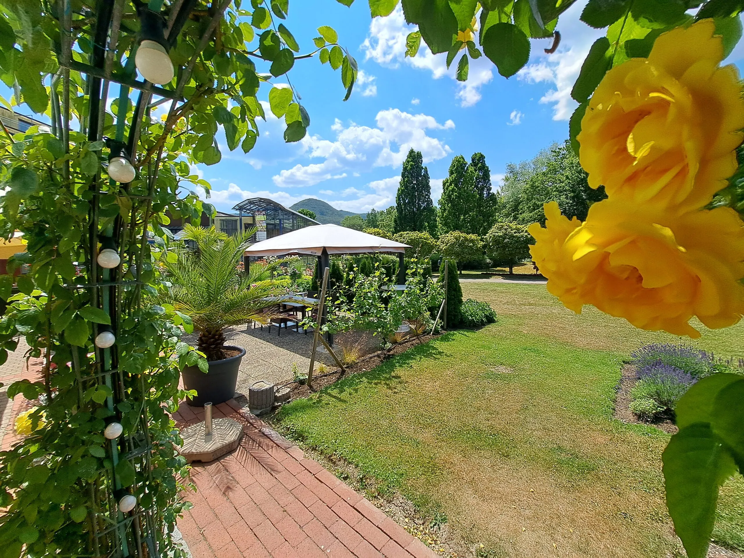 德国 Bad Urach 的 Biosphärenhotel Graf Eberhard