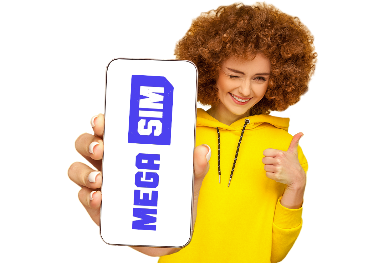 Mega SIM Allnet Flat 300 GB Tarif