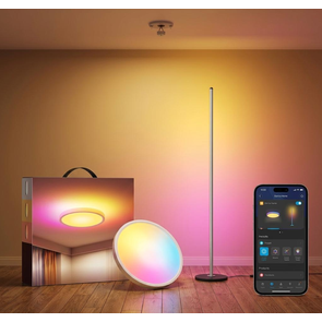 Joybuy 上的 Govee 智能吸顶灯和 LED 落地灯套装