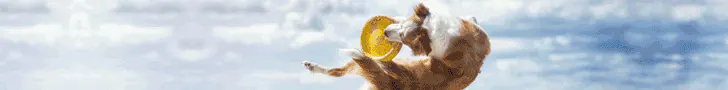 Dinner for Dogs官方免费试吃横幅