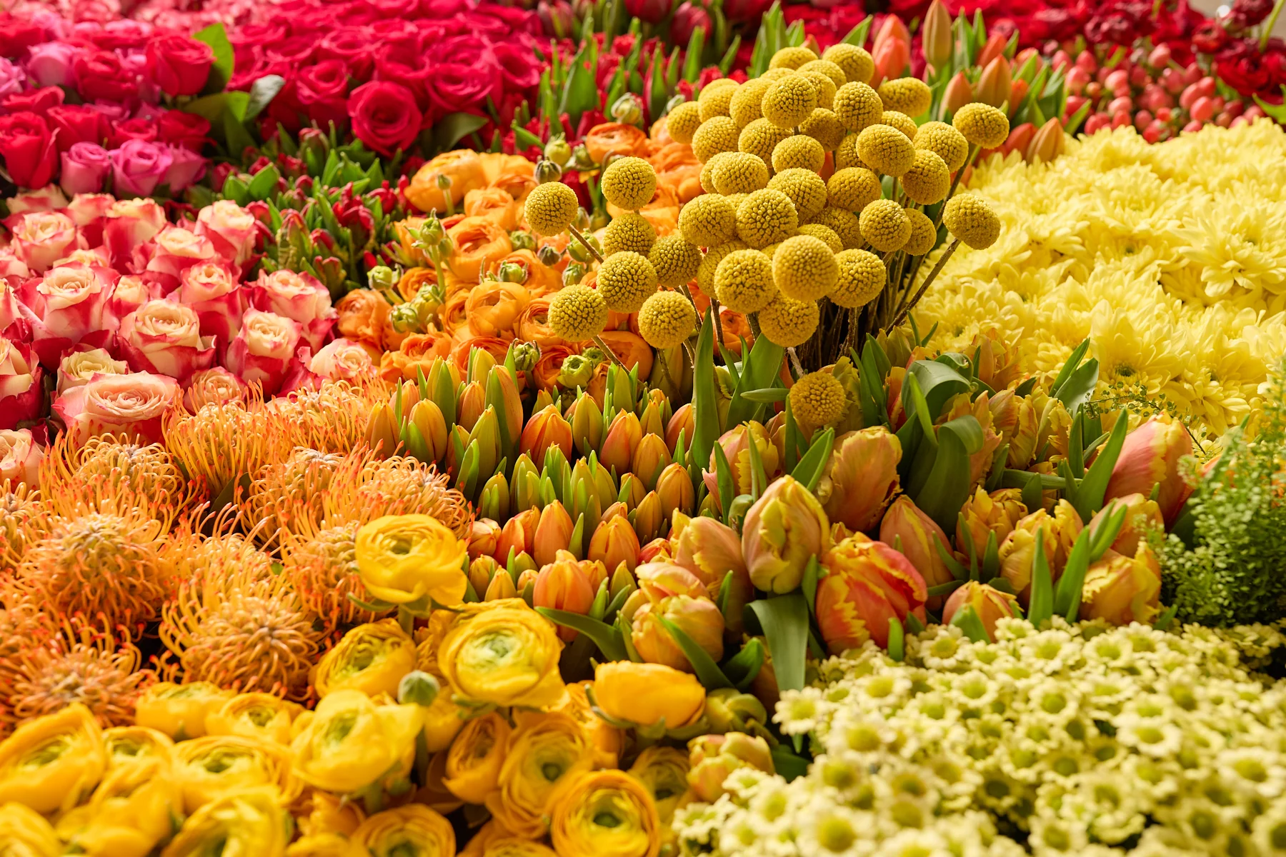 Blume2000 Newsletter-Gutschein: 15% Rabatt ab 24,99 EUR