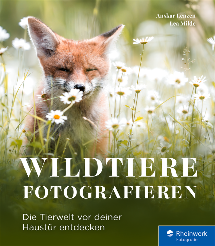 Wildtiere fotografieren Buchcover