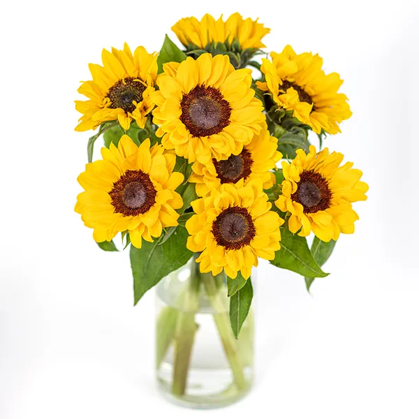 Euroflorist 官方向日葵花束商品图，展示盒装鲜花开放后的形态