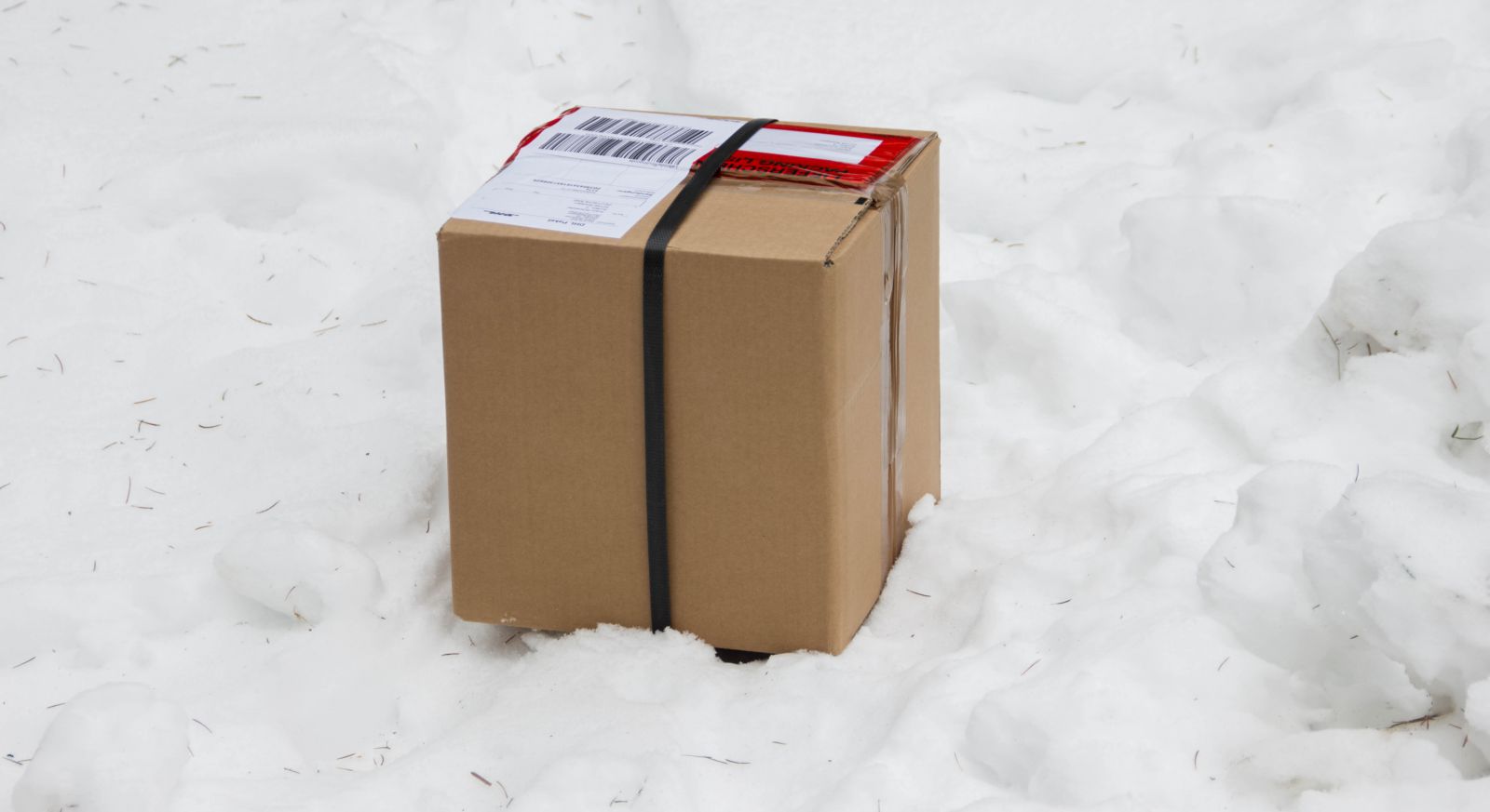 Offizielles Aquasabi Winterpaket im Schnee