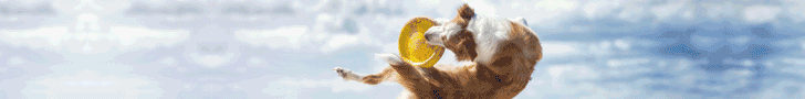 Dinner for Dogs offizielles Gratisprobe Banner