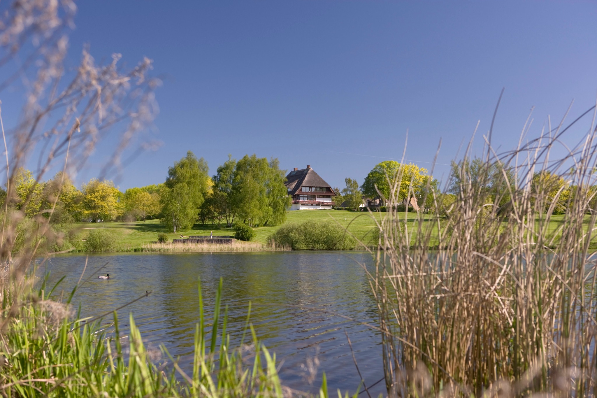 Strandgrün Golf und Spa Resort in Timmendorfer Strand