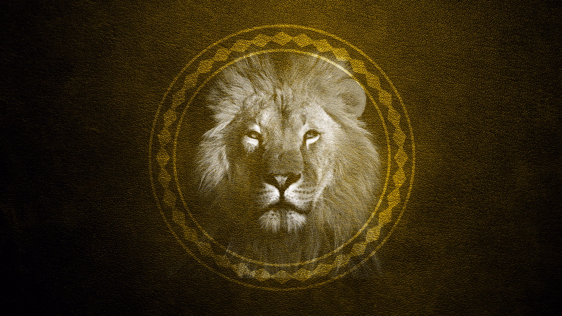 Die Chroniken von Narnia kostenlos bei SWR und ARD Sounds hoeren