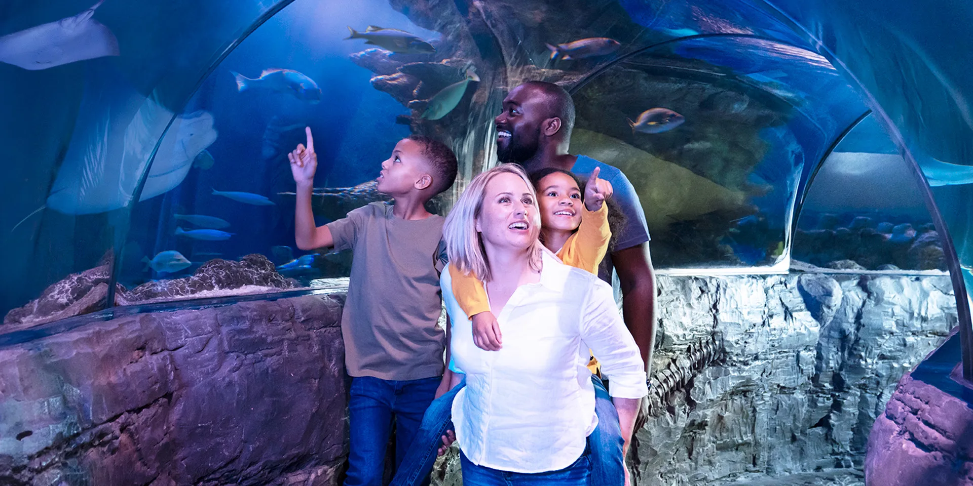 Offizielle SEA-LIFE-Hannover-Familienszene im Unterwassertunnel