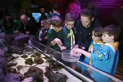 Offizielle SEA-LIFE-Hannover-Lernszene einer Kindergruppe am Berührungsbecken